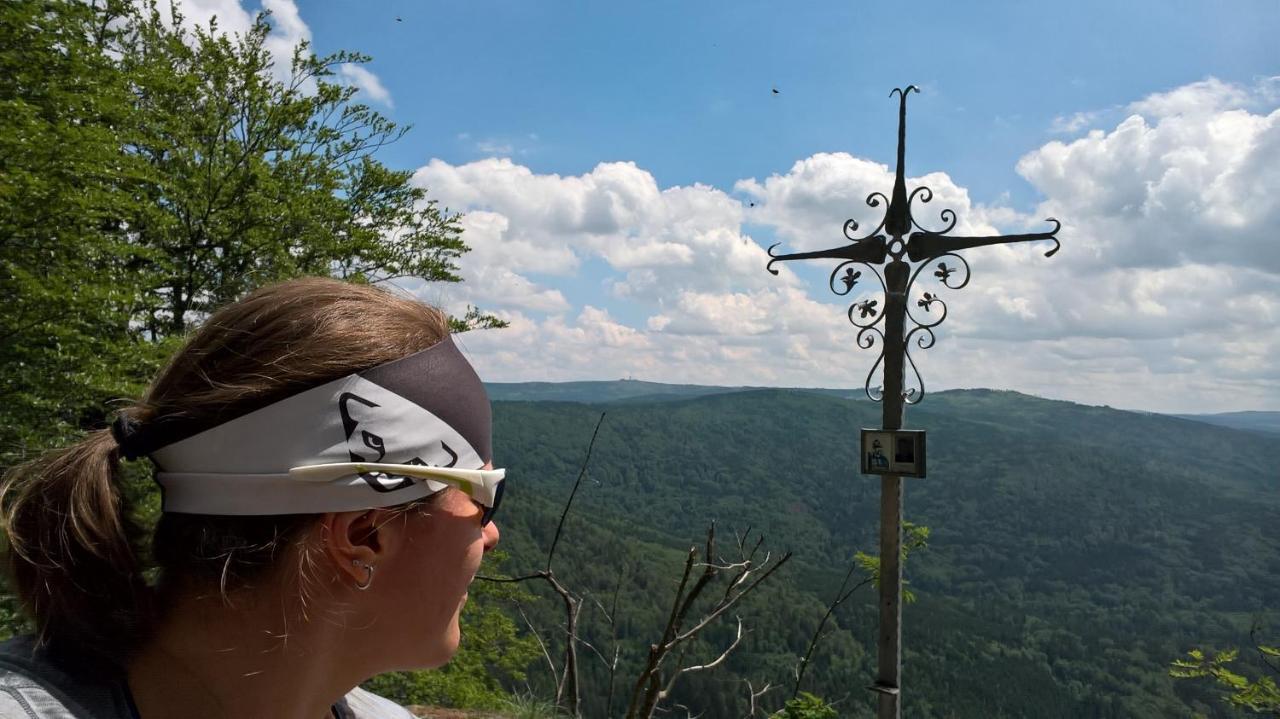 Hotel Zur Waldbahn ツヴィーゼル エクステリア 写真